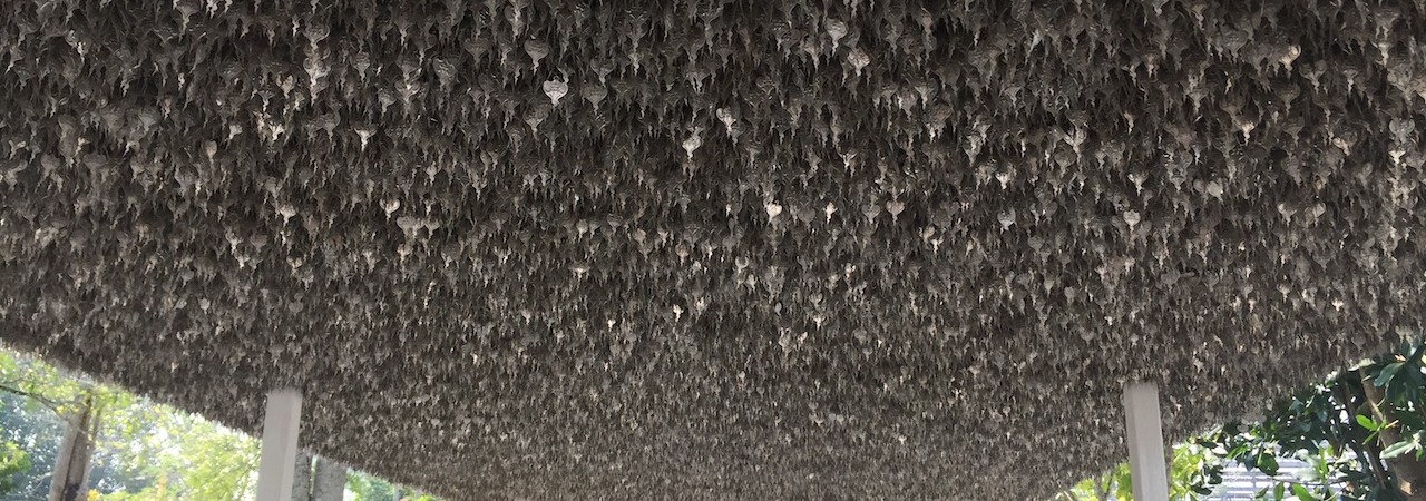 Asperiores fugit et quasi est beatae molestiae consectetur illum.